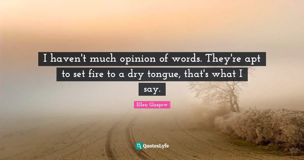Ellen Glasgow Quotes: "I haven't much opinion of words. They're apt to set fire to a dry tongue, that's what I say."