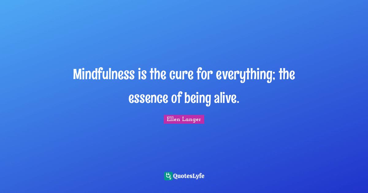 Mindfulness is the cure for everything; the essence of being alive.