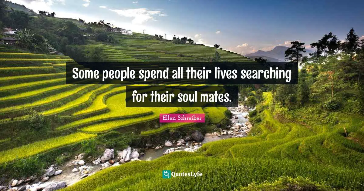 Some people spend all their lives searching for their soul mates.