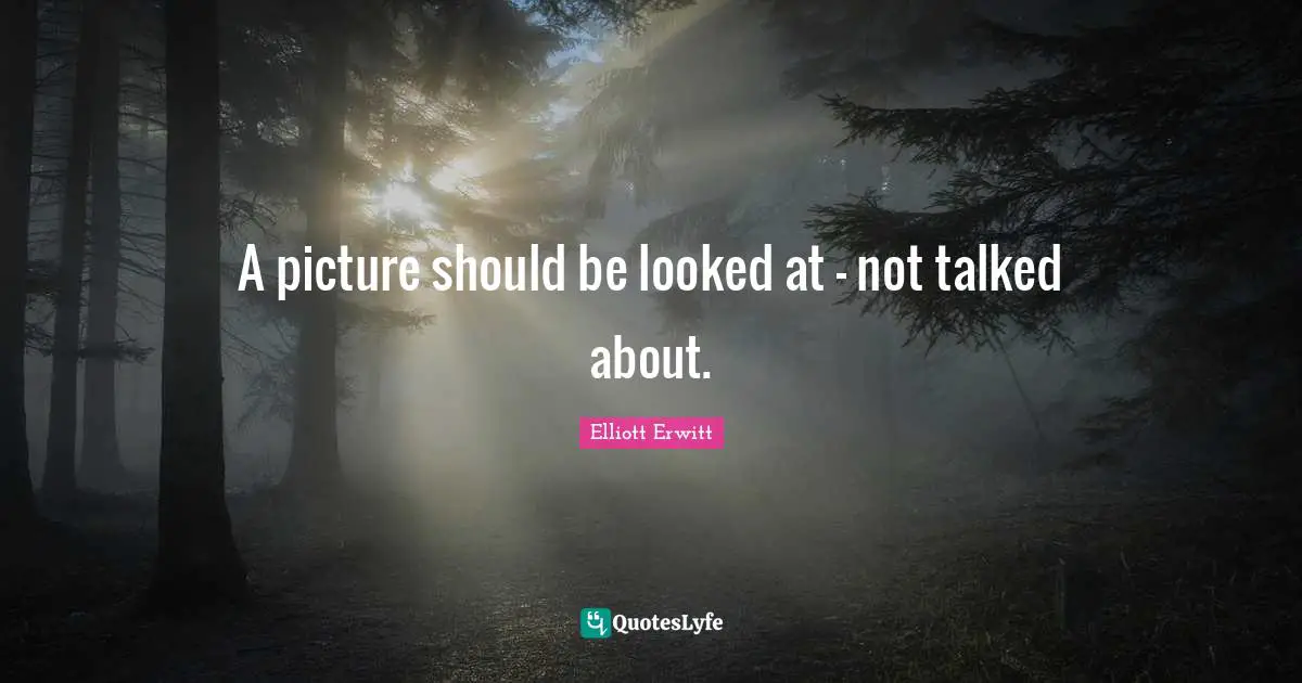 A picture should be looked at - not talked about.