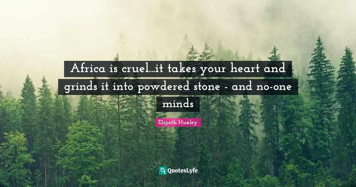 Africa is cruel...it takes your heart and grinds it into powdered stone - and no-one minds