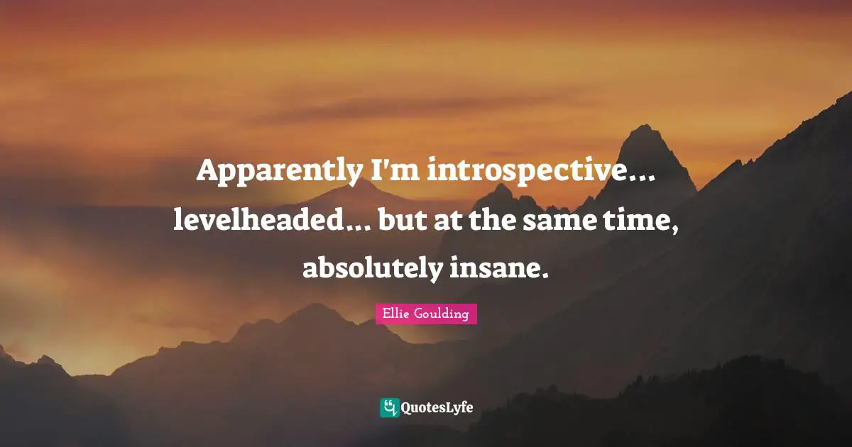 Apparently I'm introspective... levelheaded... but at the same time, absolutely insane.