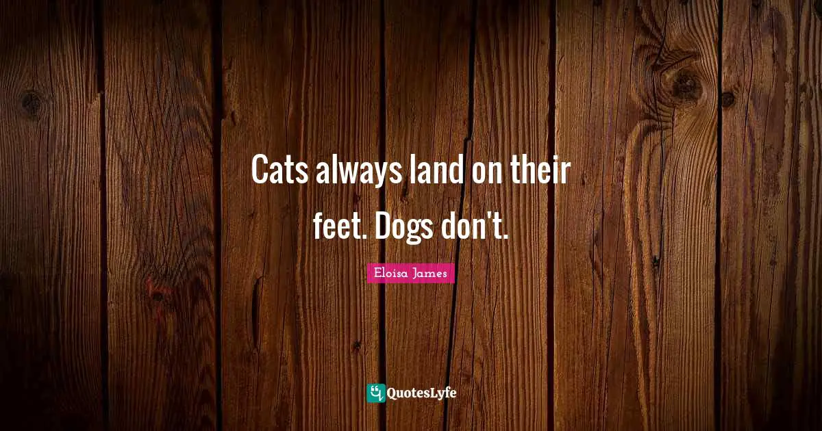 Cats always land on their feet. Dogs don't.