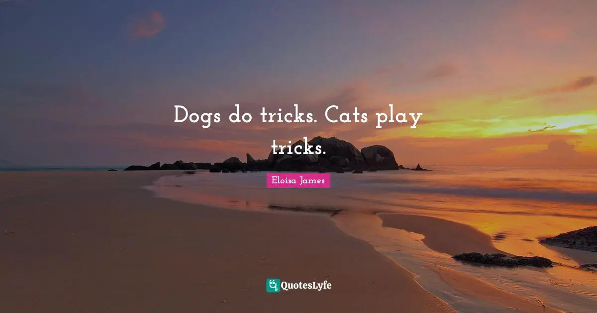 Dogs do tricks. Cats play tricks.