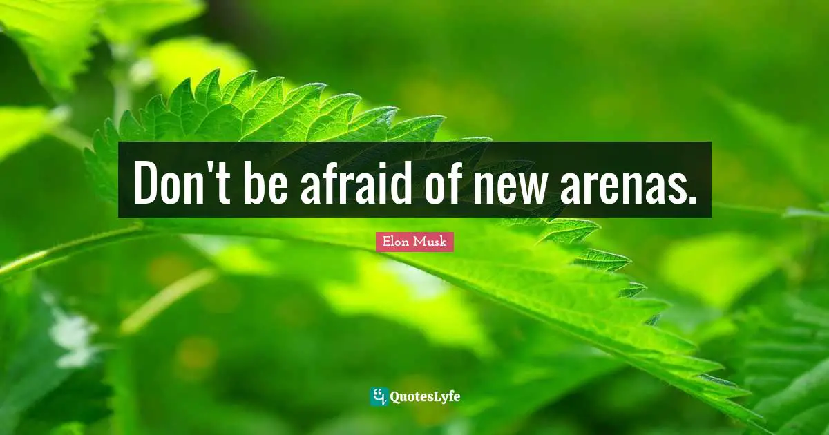Don't be afraid of new arenas.