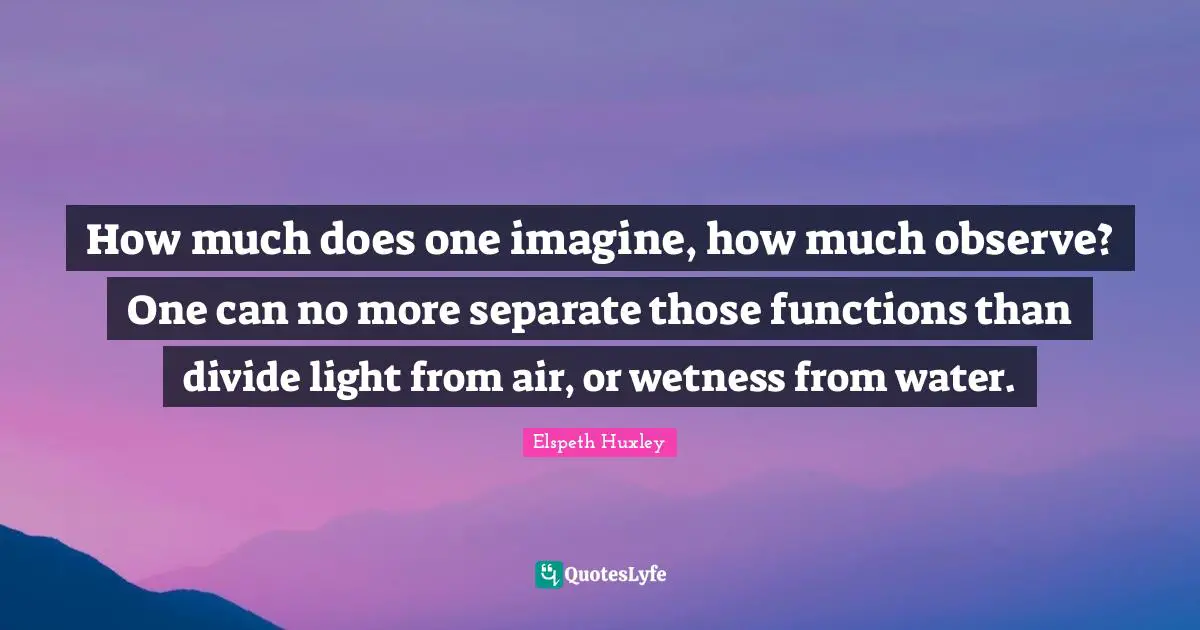 How much does one imagine, how much observe? One can no more separate those functions than divide light from air, or wetness from water.