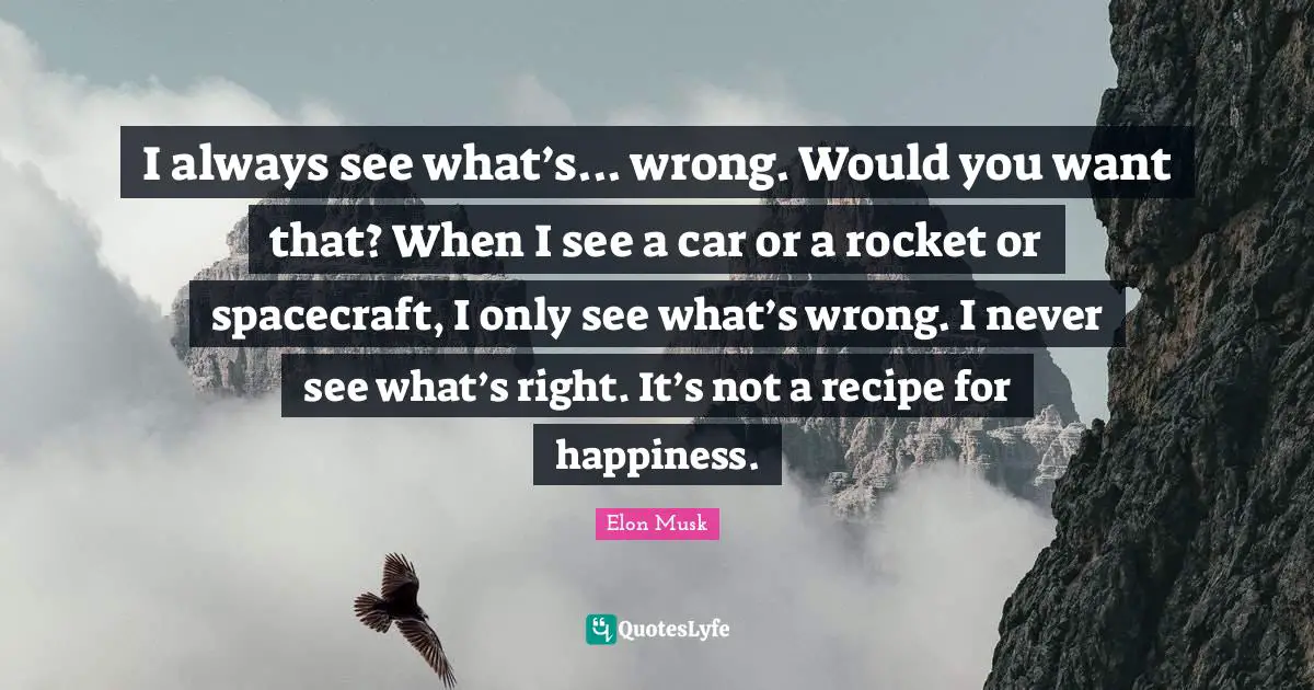 I always see what’s... wrong. Would you want that? When I see a car or a rocket or spacecraft, I only see what’s wrong. I never see what’s right. It’s not a recipe for happiness.