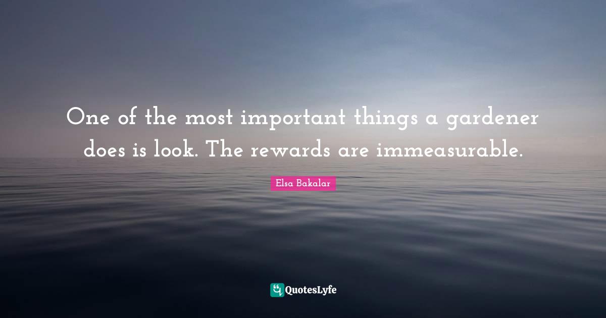 One of the most important things a gardener does is look. The rewards are immeasurable.