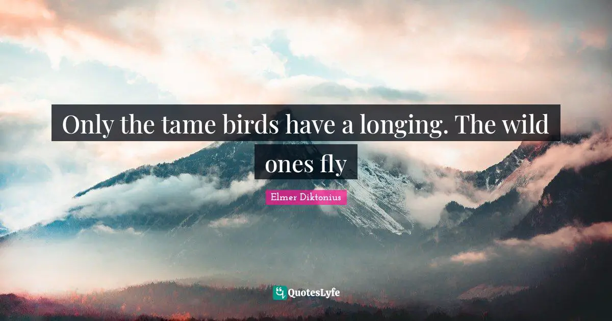 Only the tame birds have a longing. The wild ones fly