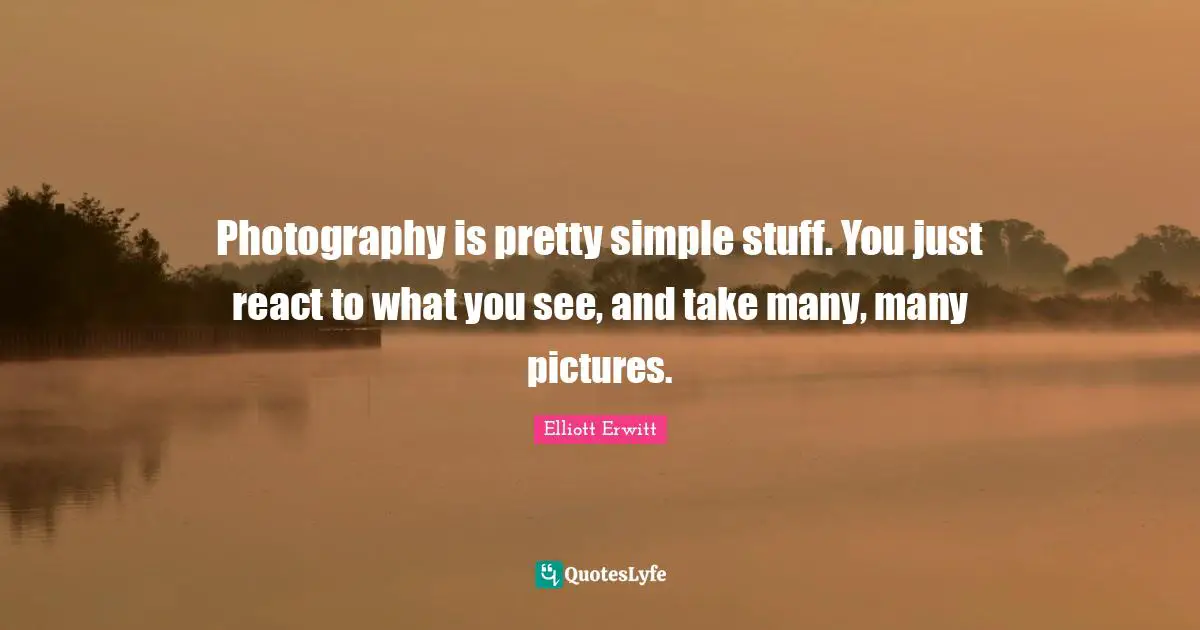 Photography is pretty simple stuff. You just react to what you see, and take many, many pictures.