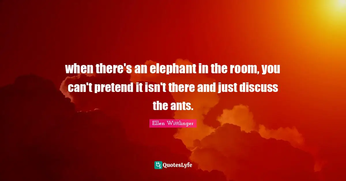 when there's an elephant in the room, you can't pretend it isn't there and just discuss the ants.