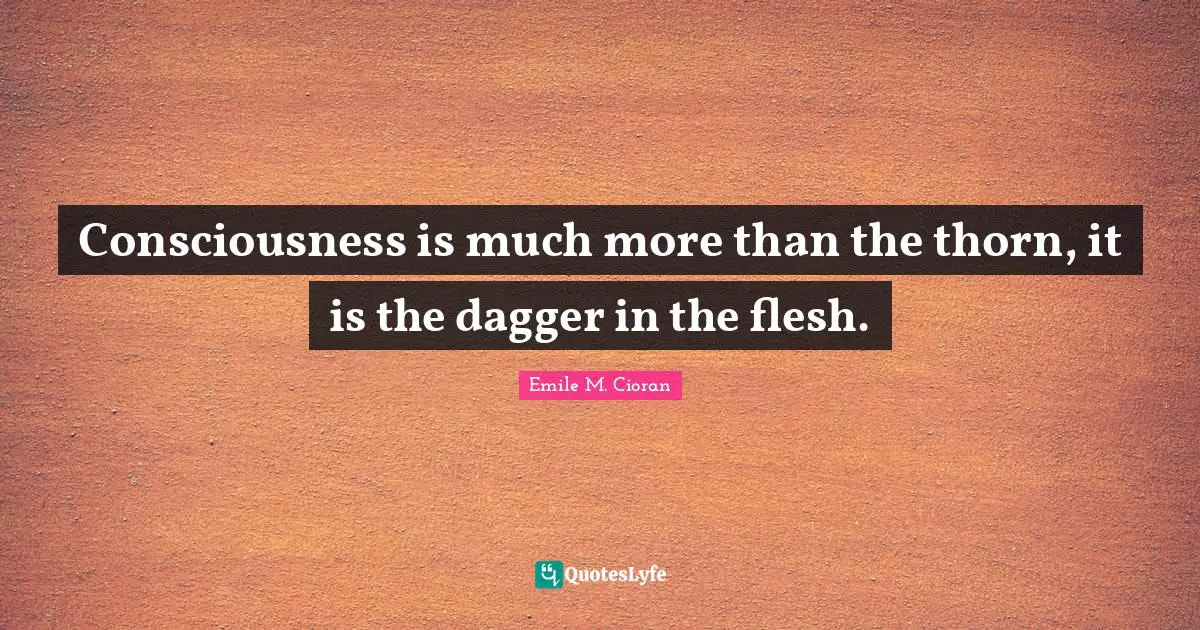 Consciousness is much more than the thorn, it is the dagger in the flesh.