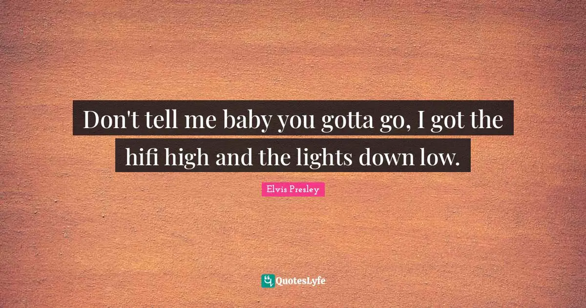 Don't tell me baby you gotta go, I got the hifi high and the lights down low.