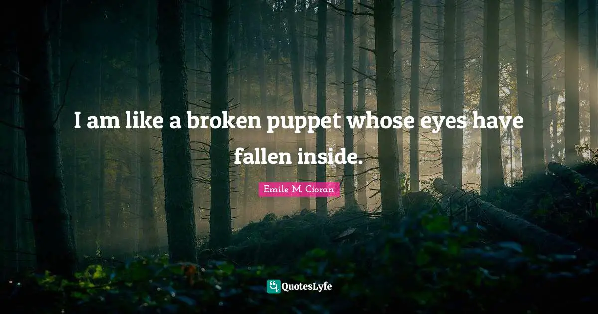 I am like a broken puppet whose eyes have fallen inside.