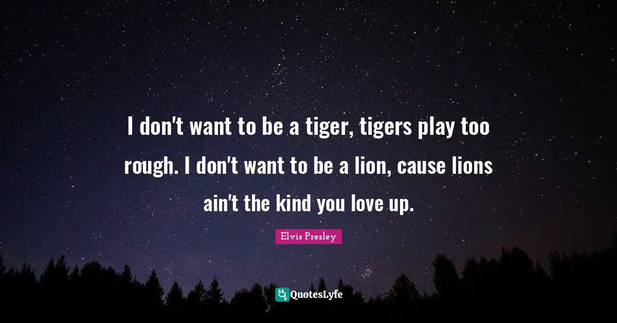 I don't want to be a tiger, tigers play too rough. I don't want to be a lion, cause lions ain't the kind you love up.