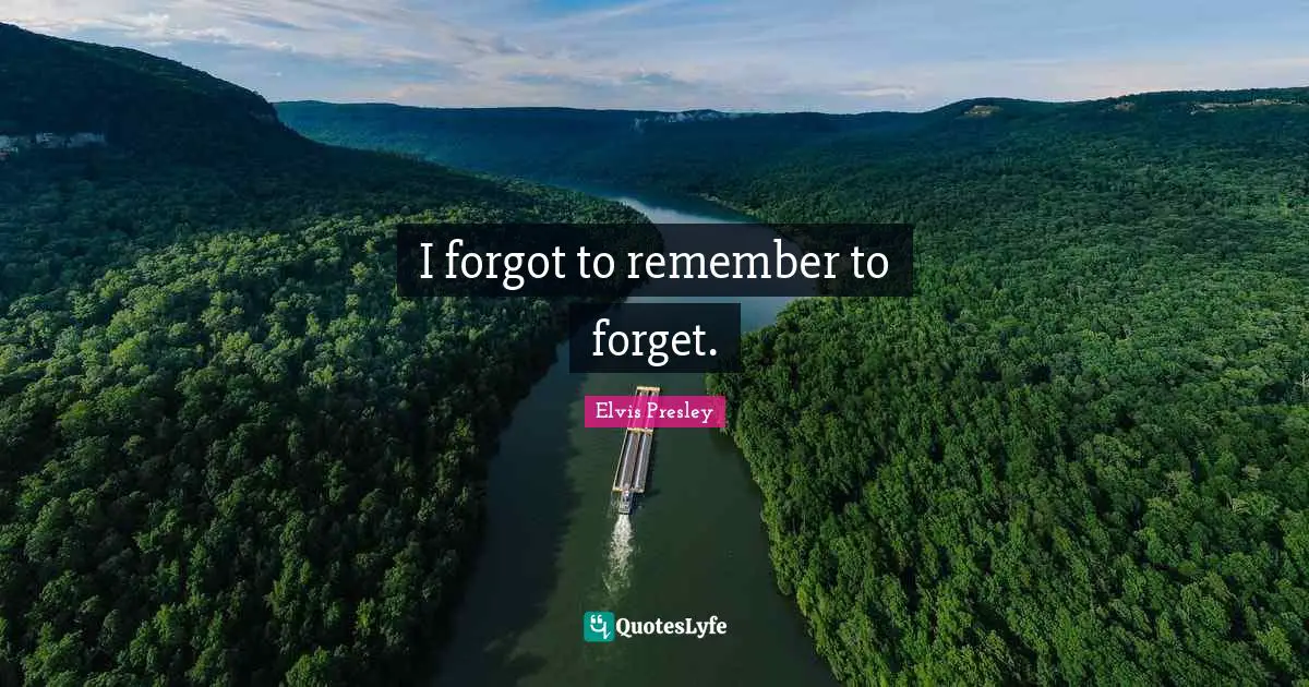 I forgot to remember to forget.
