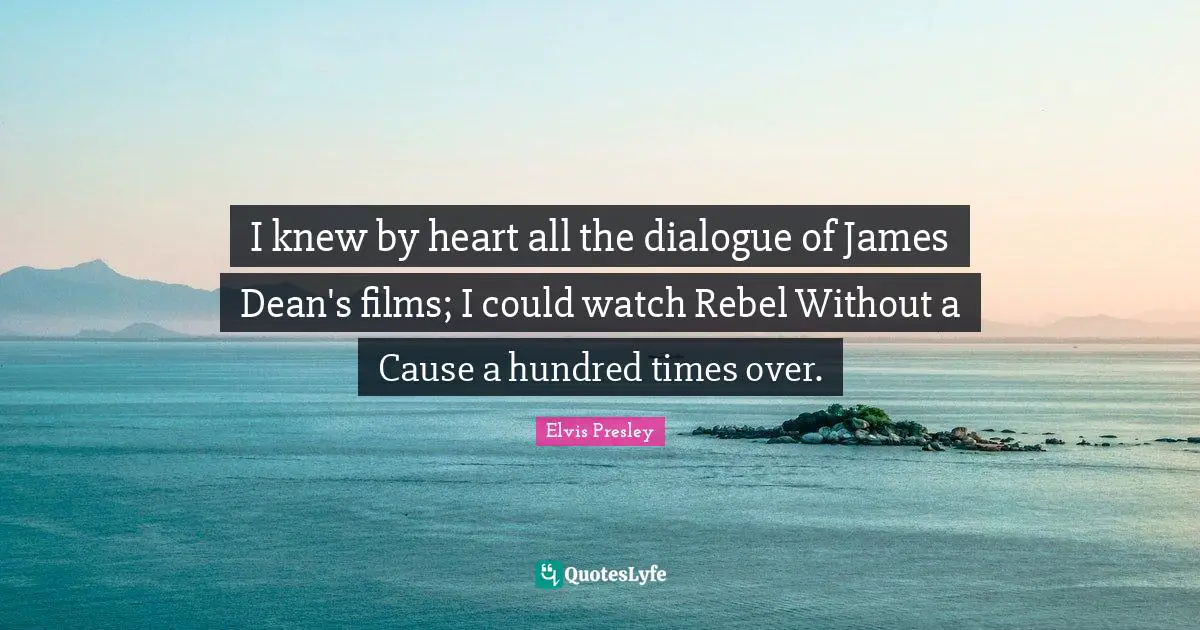 I knew by heart all the dialogue of James Dean's films; I could watch Rebel Without a Cause a hundred times over.