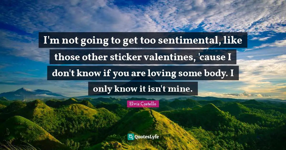 I'm not going to get too sentimental, like those other sticker valentines, 'cause I don't know if you are loving some body. I only know it isn't mine.