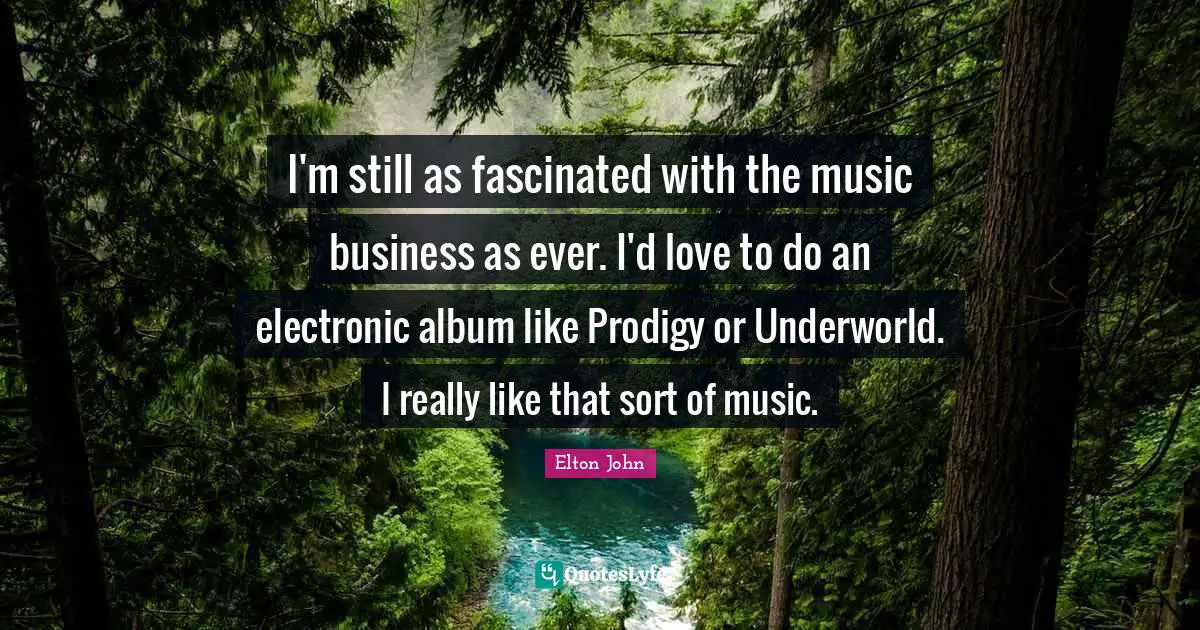 I'm still as fascinated with the music business as ever. I'd love to do an electronic album like Prodigy or Underworld. I really like that sort of music.