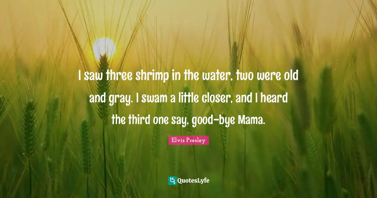 Bye Quotes: "I saw three shrimp in the water, two were old and gray. I swam a little closer, and I heard the third one say, good-bye Mama."
