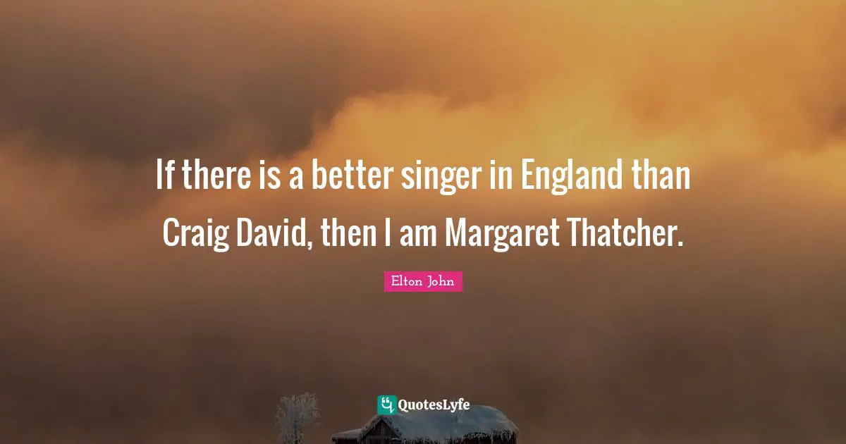 If there is a better singer in England than Craig David, then I am Margaret Thatcher.
