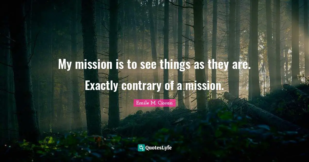 My mission is to see things as they are. Exactly contrary of a mission.