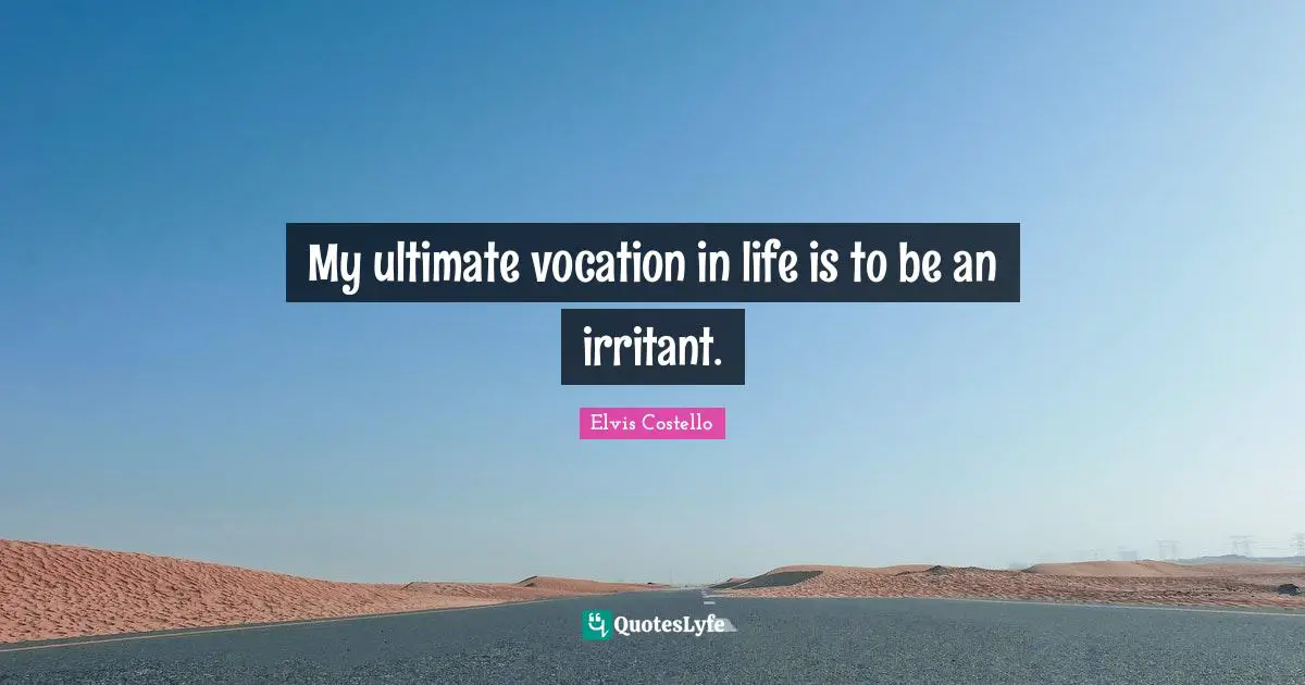 My ultimate vocation in life is to be an irritant.