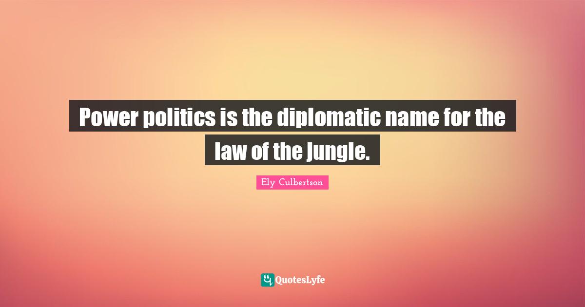Power politics is the diplomatic name for the law of the jungle.