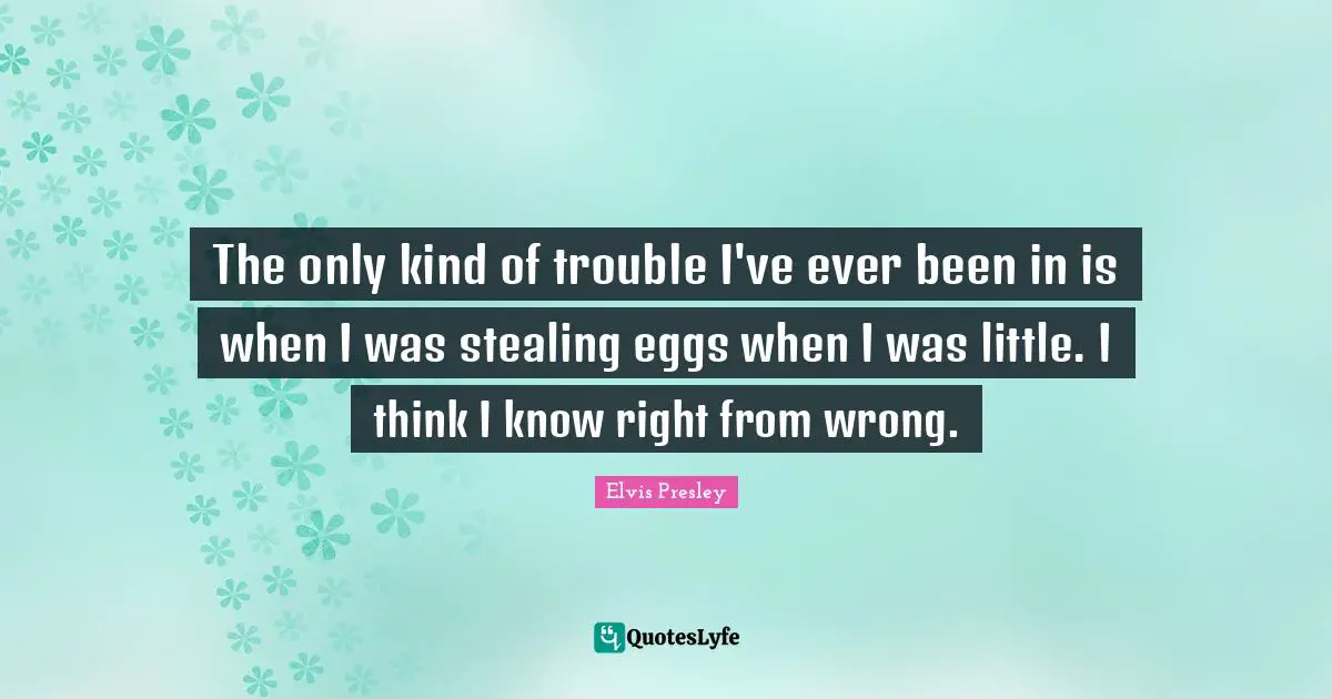 The only kind of trouble I've ever been in is when I was stealing eggs when I was little. I think I know right from wrong.