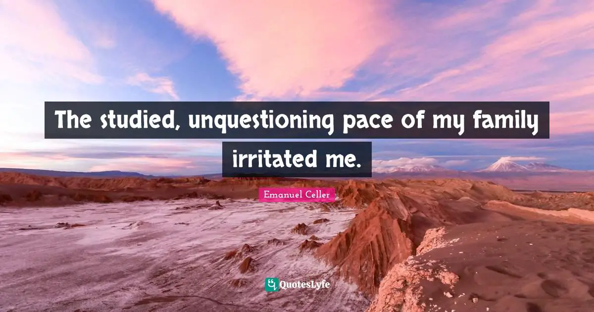 The studied, unquestioning pace of my family irritated me.