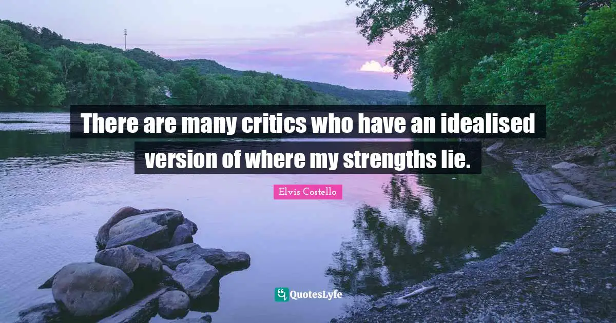 There are many critics who have an idealised version of where my strengths lie.