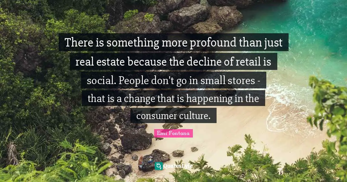 D. C. Fontana Quotes: "There is something more profound than just real estate because the decline of retail is social. People don't go in small stores - that is a change that is happening in the consumer culture."