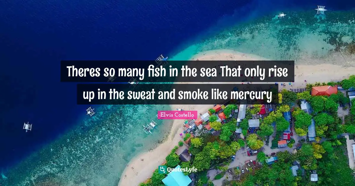 Theres so many fish in the sea That only rise up in the sweat and smoke like mercury