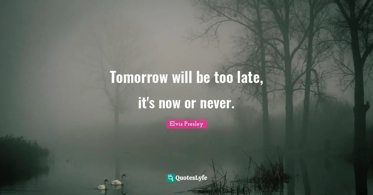 Tomorrow will be too late, it's now or never.