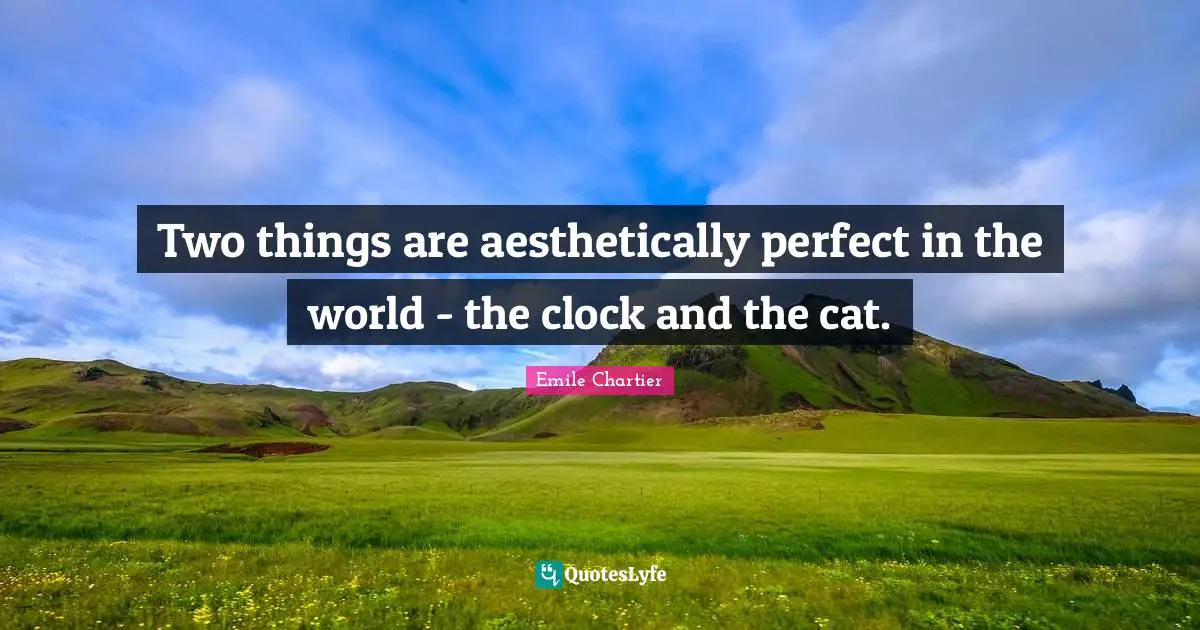 Two things are aesthetically perfect in the world - the clock and the cat.