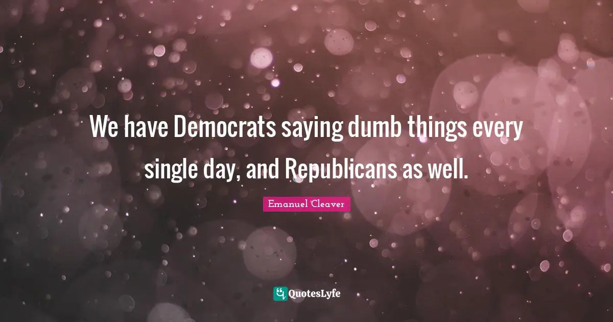 We have Democrats saying dumb things every single day, and Republicans as well.