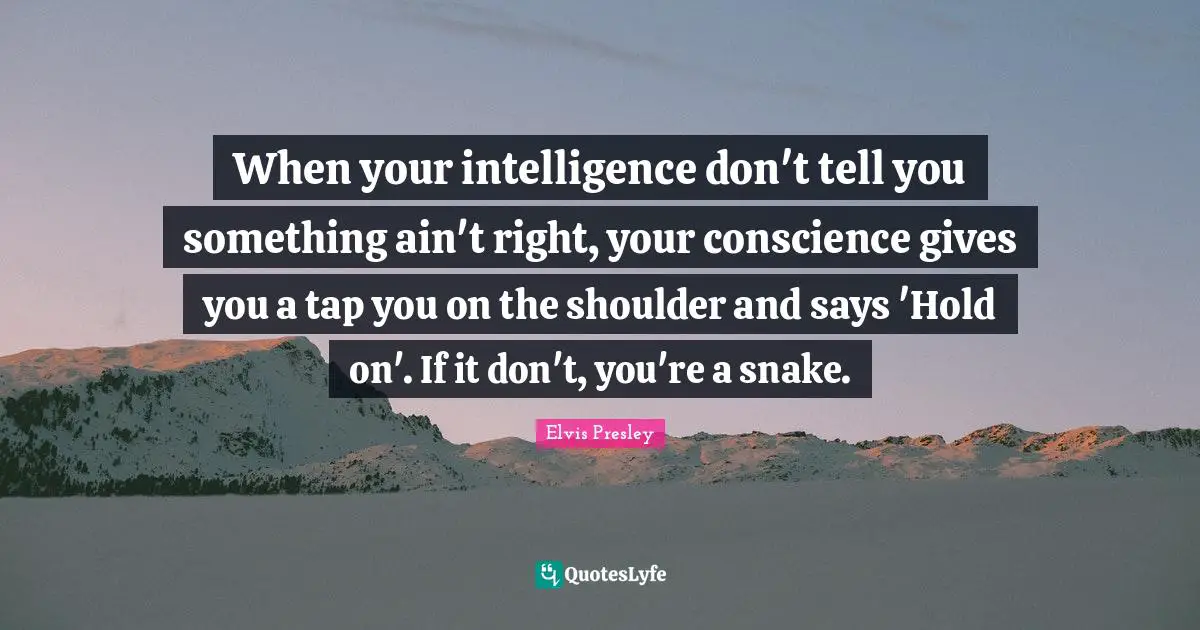 Snakes Quotes: "When your intelligence don't tell you something ain't right, your conscience gives you a tap you on the shoulder and says 'Hold on'. If it don't, you're a snake."