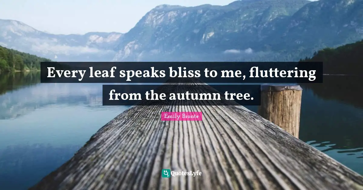 Emily Bronte Quotes: "Every leaf speaks bliss to me, fluttering from the autumn tree."