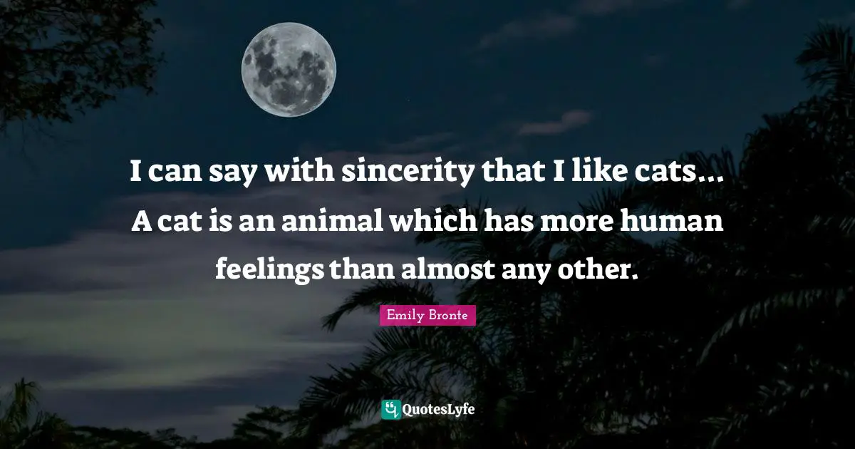 Emily Bronte Quotes: "I can say with sincerity that I like cats... A cat is an animal which has more human feelings than almost any other."