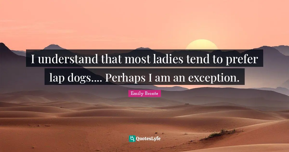 I understand that most ladies tend to prefer lap dogs.... Perhaps I am an exception.