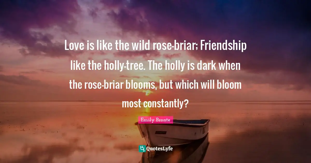 Emily Bronte Quotes: "Love is like the wild rose-briar; Friendship like the holly-tree. The holly is dark when the rose-briar blooms, but which will bloom most constantly?"