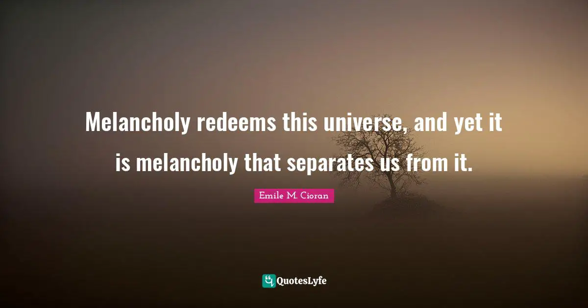 Melancholy redeems this universe, and yet it is melancholy that separates us from it.