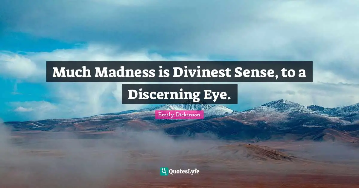 Much Madness is Divinest Sense, to a Discerning Eye.