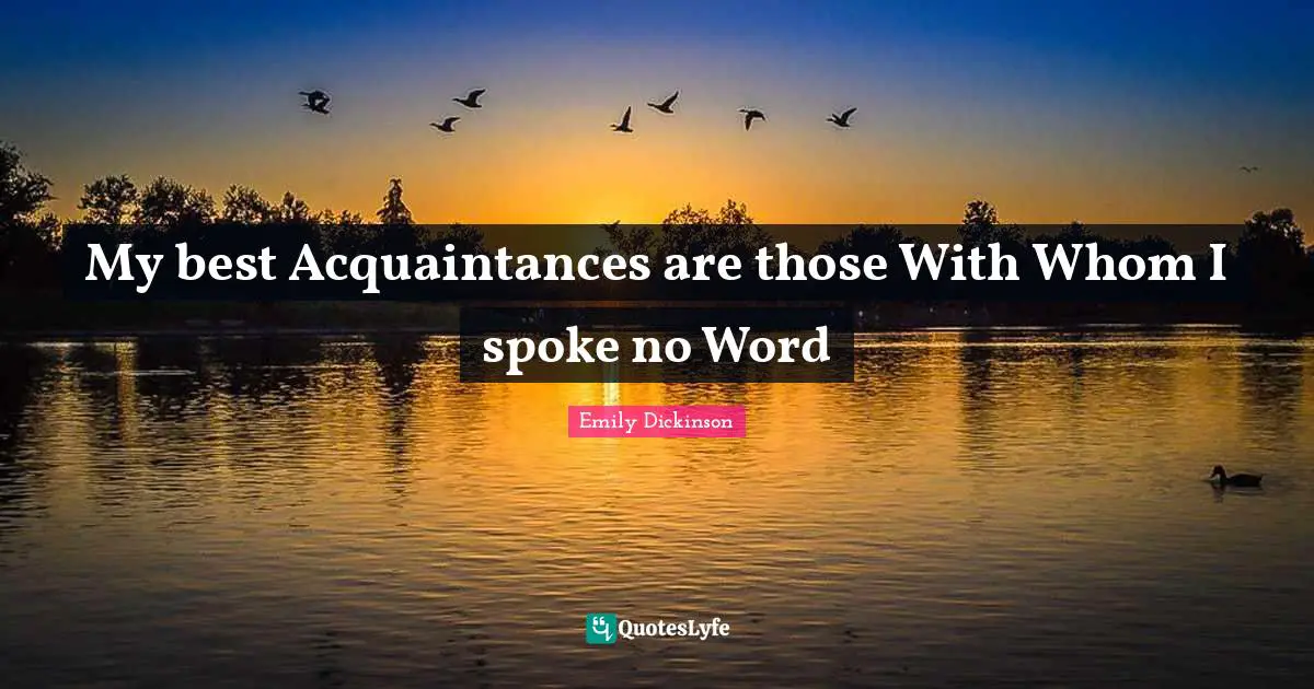 Spokes Quotes: "My best Acquaintances are those With Whom I spoke no Word"
