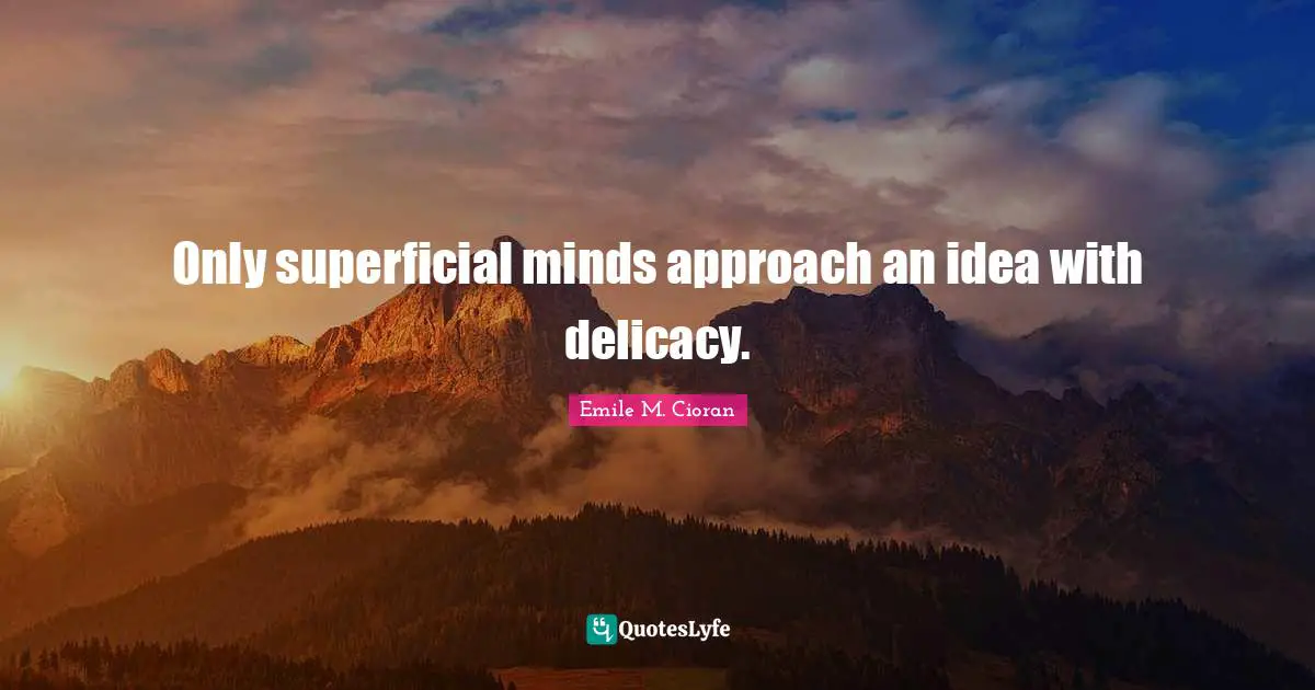 Only superficial minds approach an idea with delicacy.