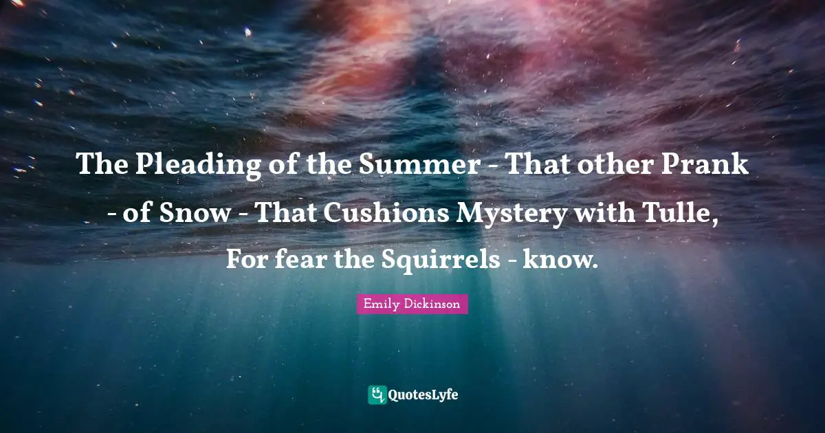 Cushions Quotes: "The Pleading of the Summer - That other Prank - of Snow - That Cushions Mystery with Tulle, For fear the Squirrels - know."