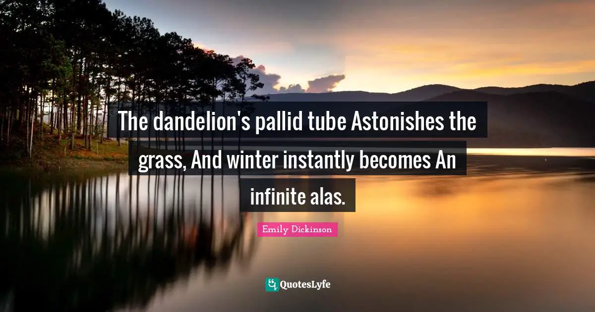 Emily Dickinson Quotes: "The dandelion's pallid tube Astonishes the grass, And winter instantly becomes An infinite alas."