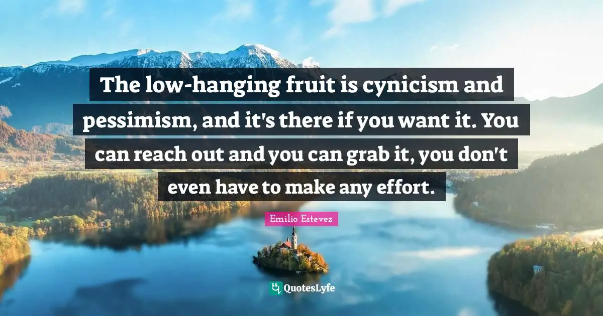The low-hanging fruit is cynicism and pessimism, and it's there if you want it. You can reach out and you can grab it, you don't even have to make any effort.