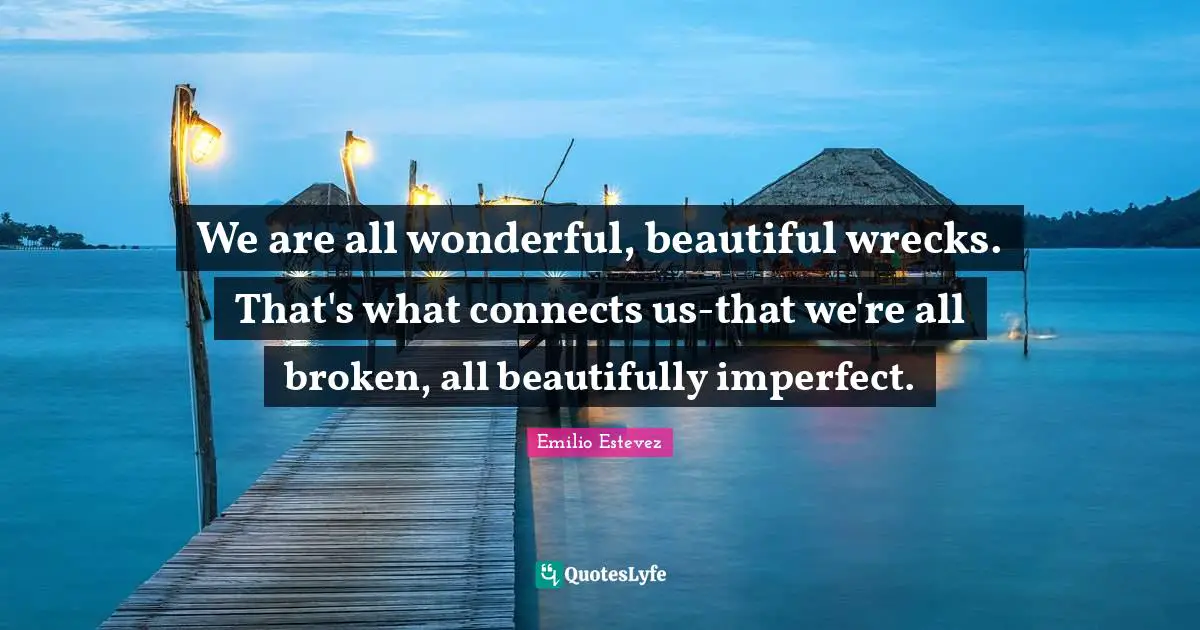 We are all wonderful, beautiful wrecks. That's what connects us-that we're all broken, all beautifully imperfect.