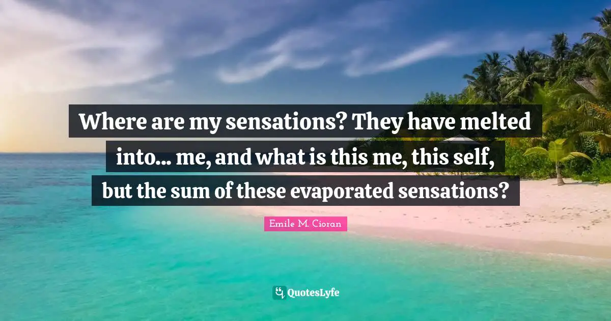Where are my sensations? They have melted into... me, and what is this me, this self, but the sum of these evaporated sensations?